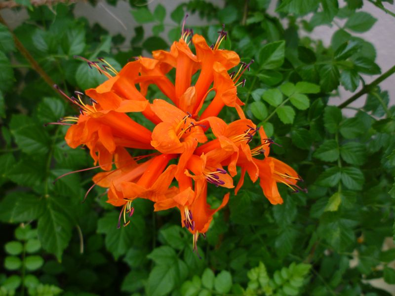 P1010153_R.jpg