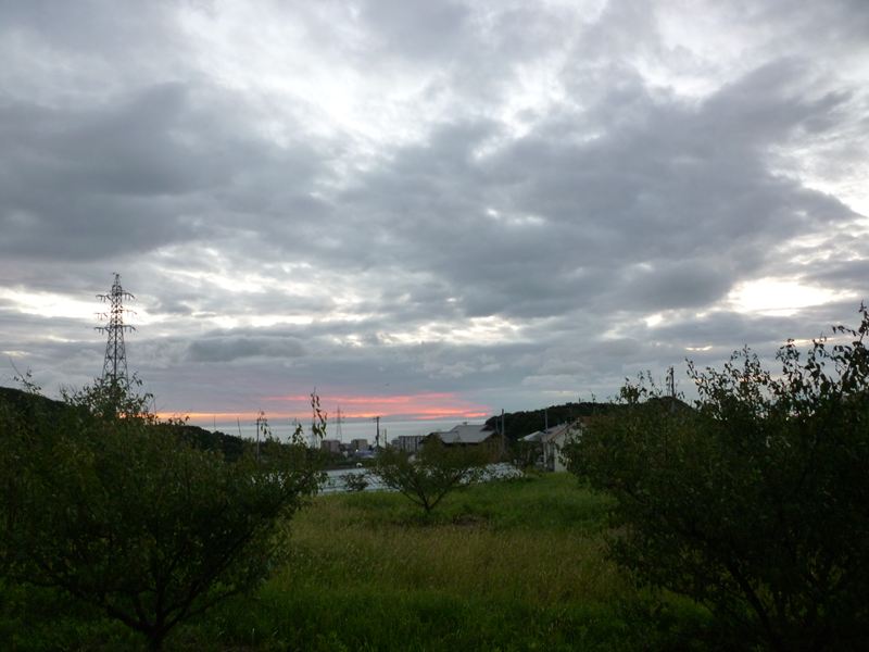 10月1日の朝の景色