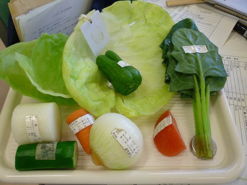 1日に摂る野菜の必用量