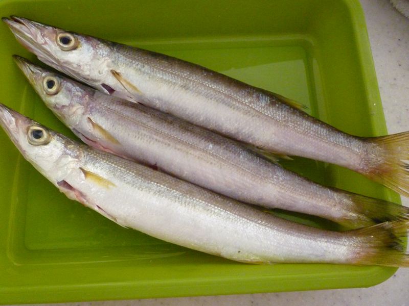 P1010189_R.jpg