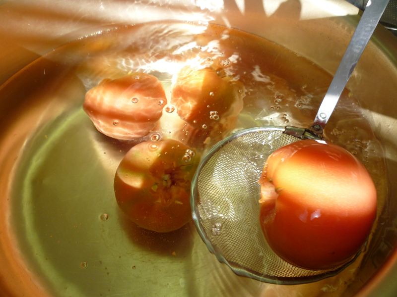 P1010238_R.jpg
