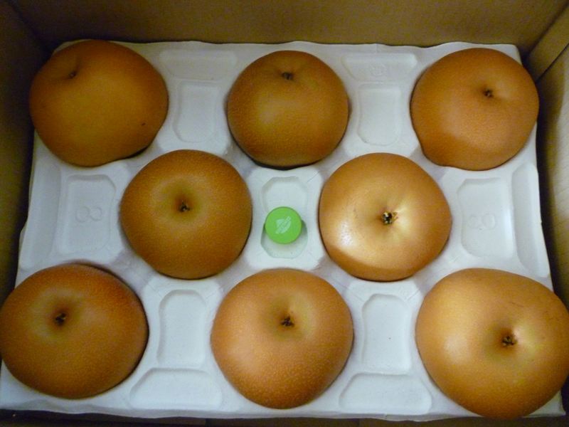 新水無し