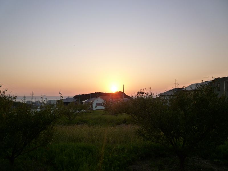 P1010334_R.jpg