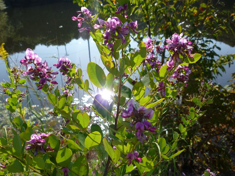 P1010383_R.jpg