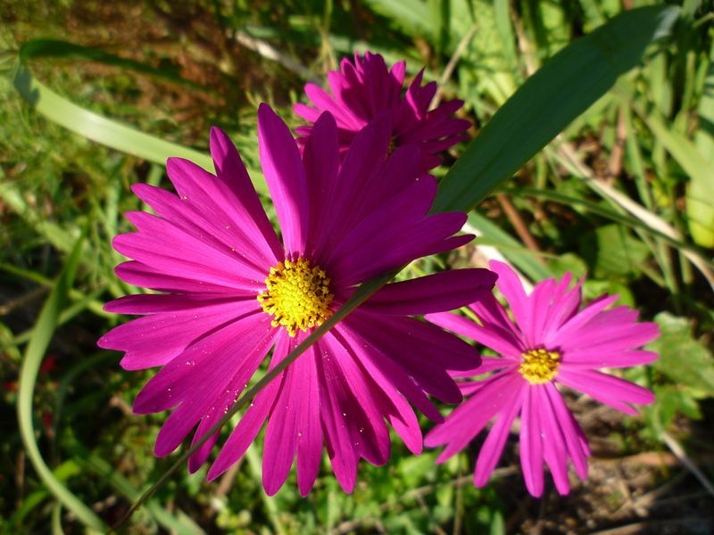 P1010385_R.jpg