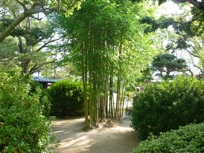 P1010512_R.jpg