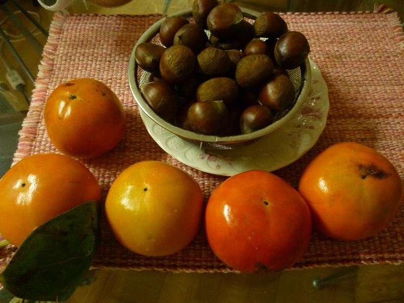P1010596_R.jpg