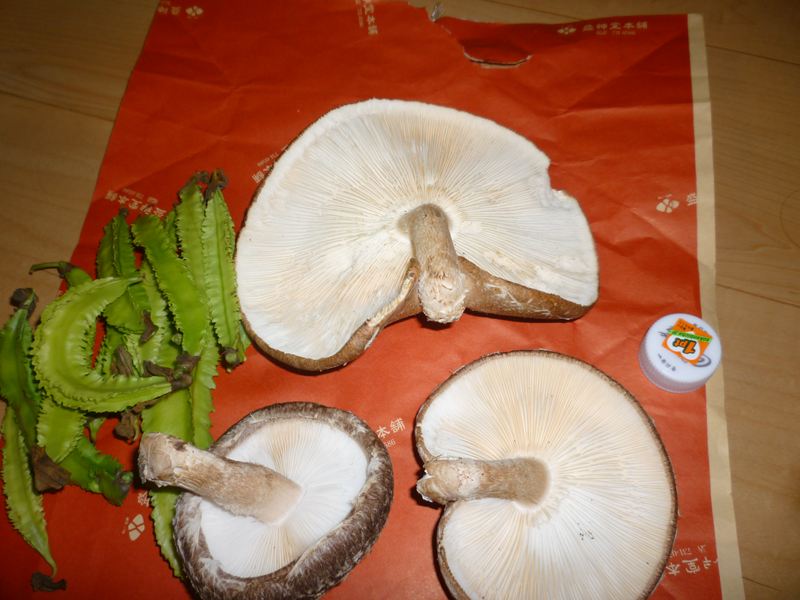 P1010611_R.jpg
