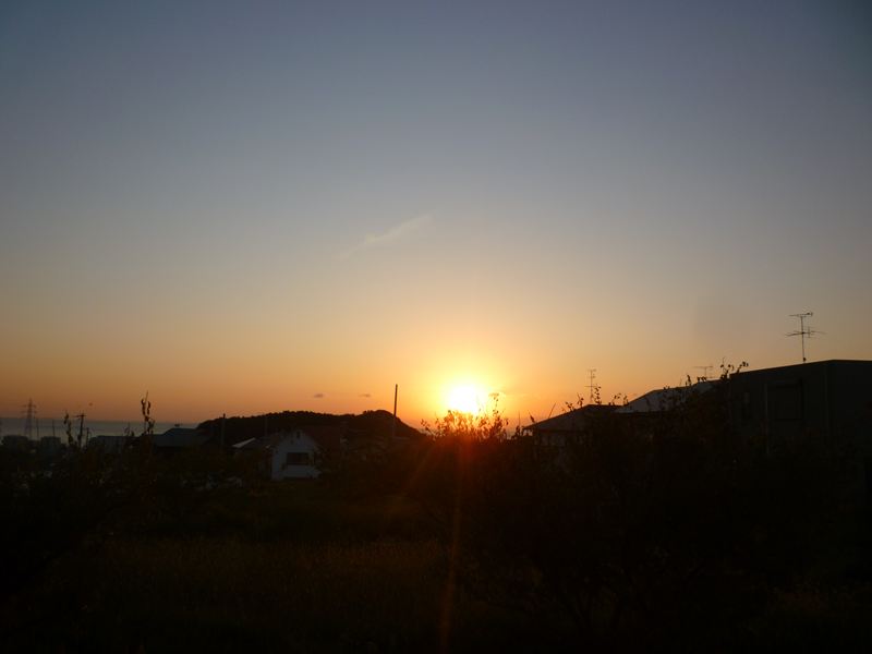 11月4日の朝日