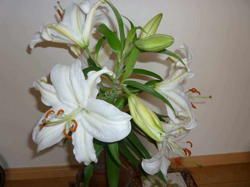 P1010647_R.jpg