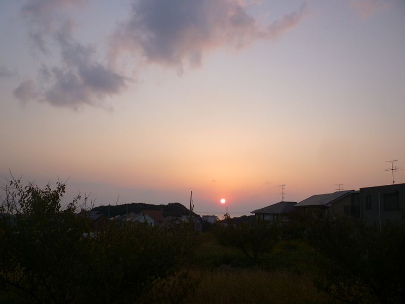 11月8日の朝日