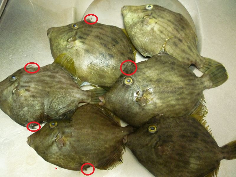 P1010662_R2.jpg
