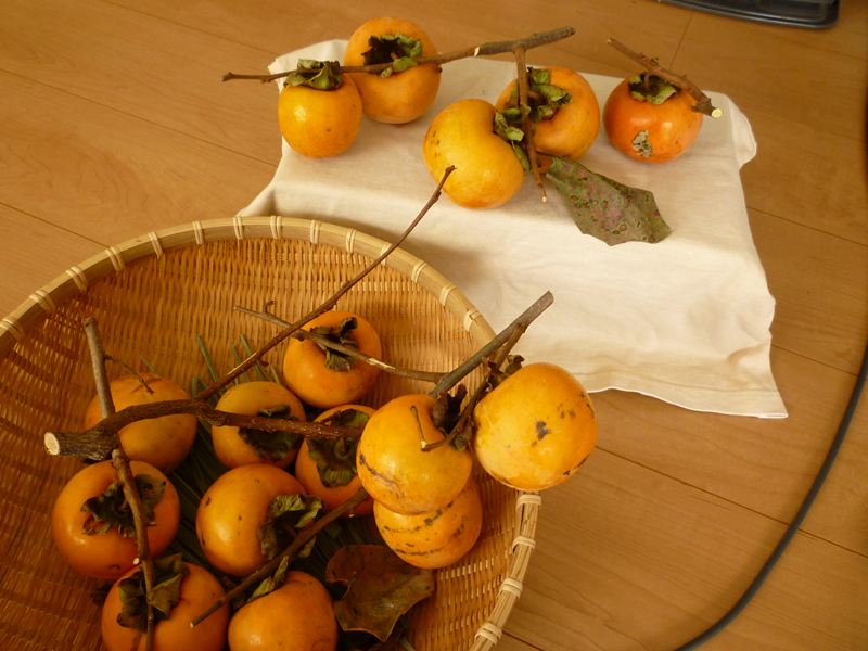 P1010679_R.jpg