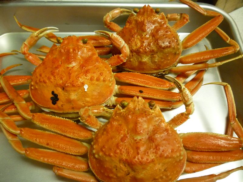 こうばこ蟹