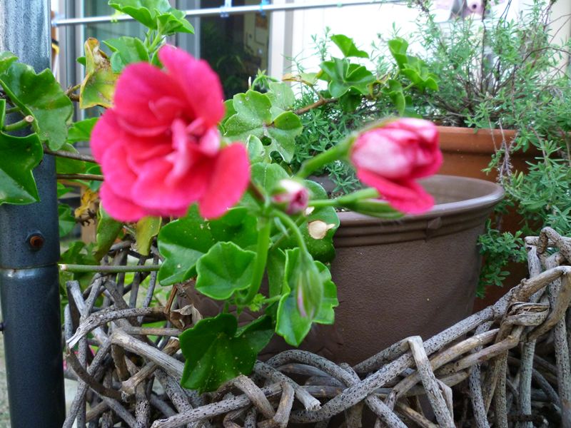 P1010751_R.jpg