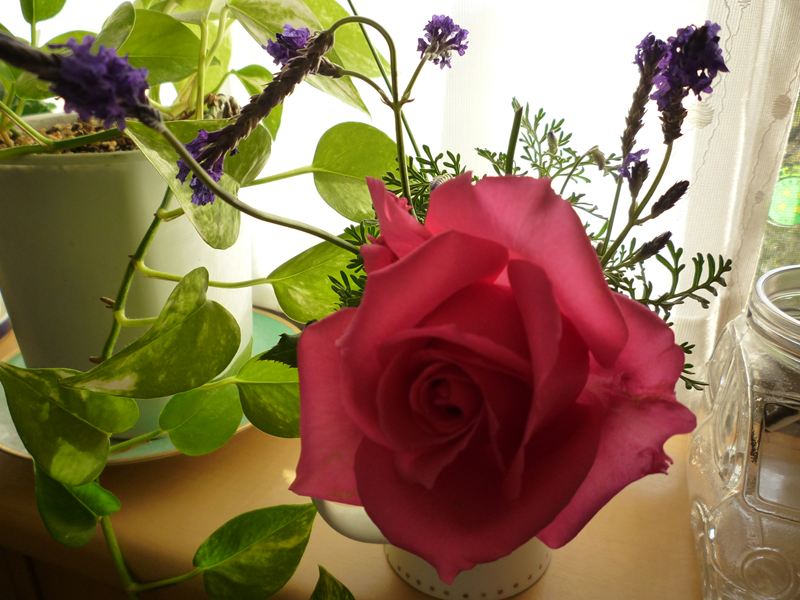 P1010780_R.jpg