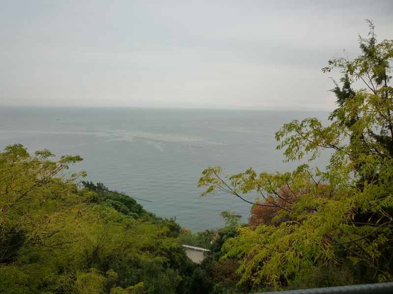 P1010818_R.jpg