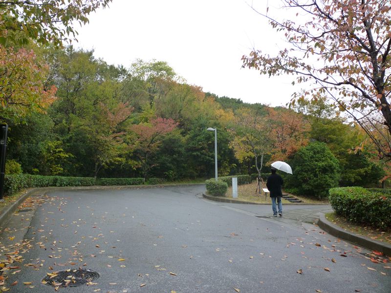 P1010821_R.jpg
