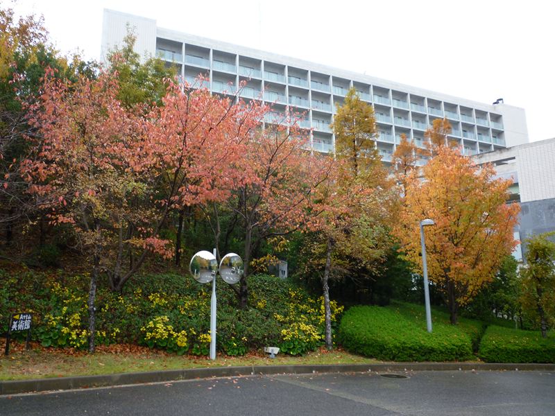 P1010825_R.jpg