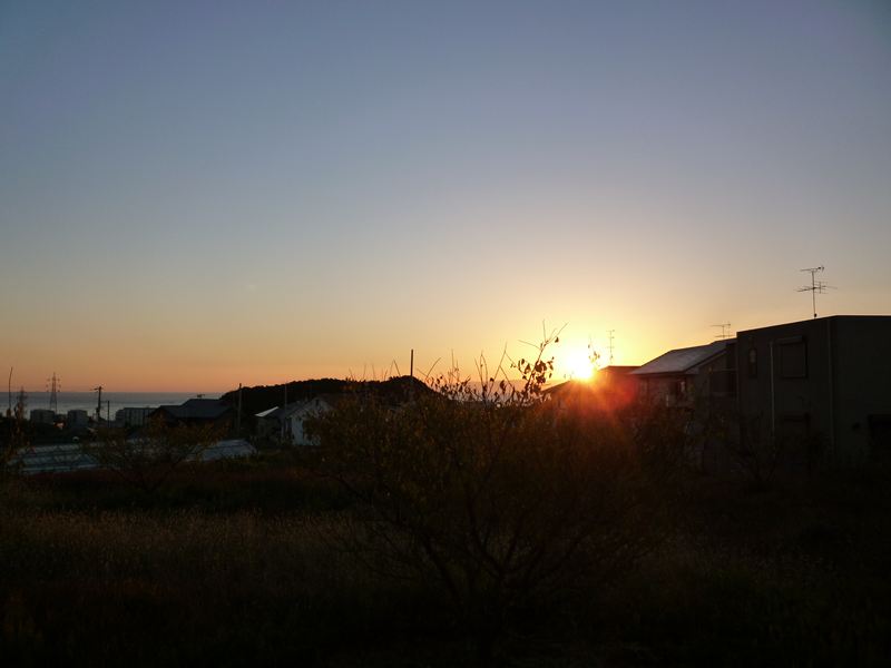 11月25日の朝日