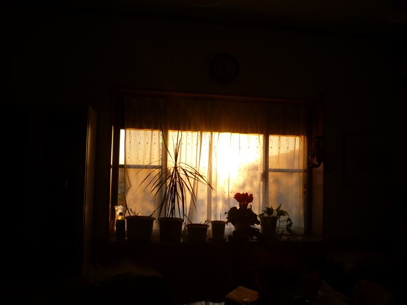 P1010835_R.jpg