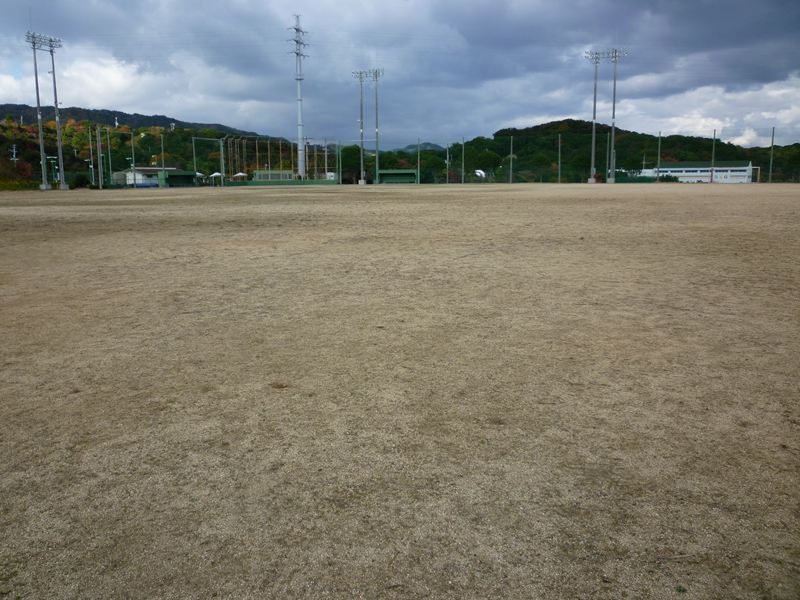 P1010868_R.jpg