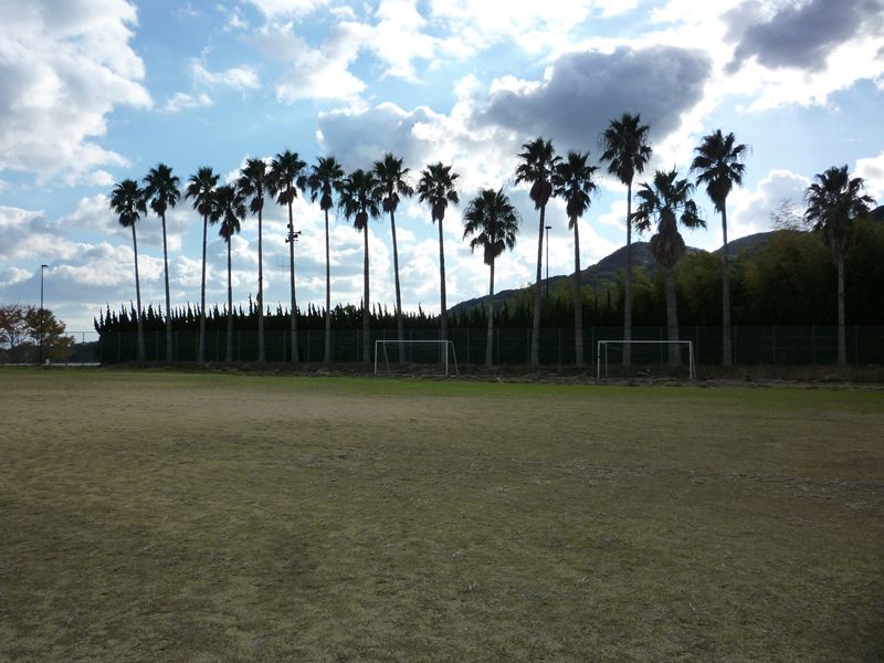 P1010871_R.jpg