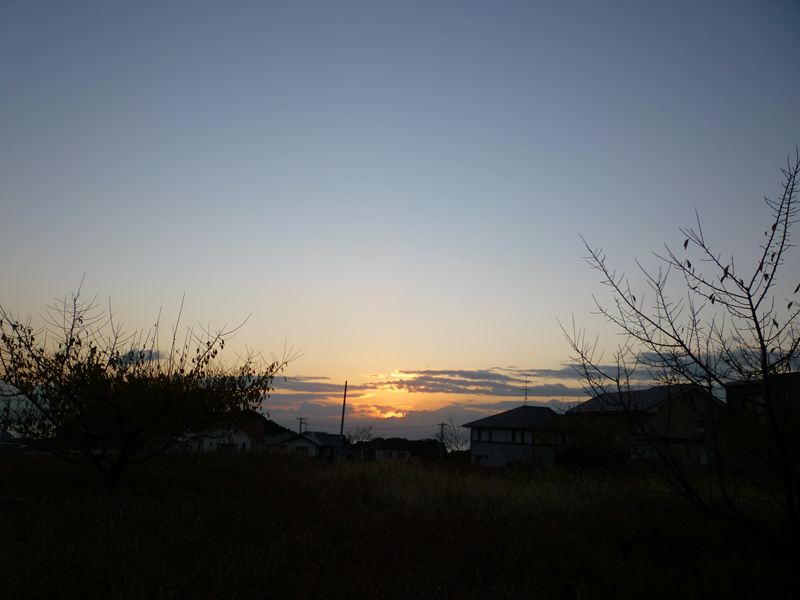 P1010892_R.jpg