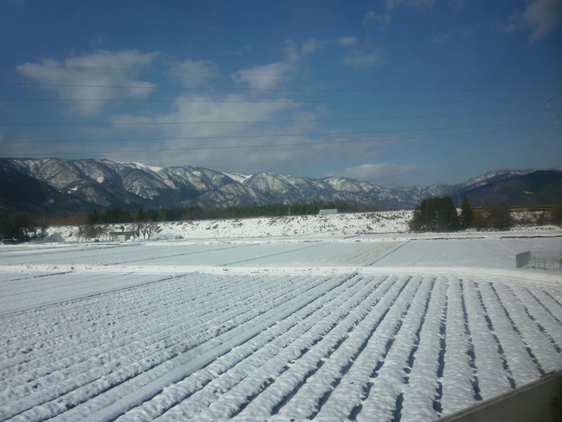 P1020025_R.jpg