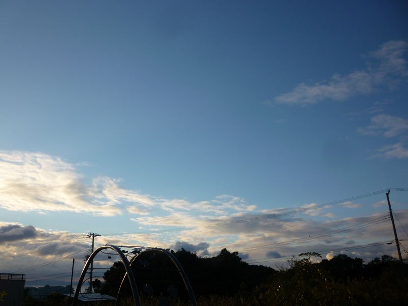 P1020082_R.jpg