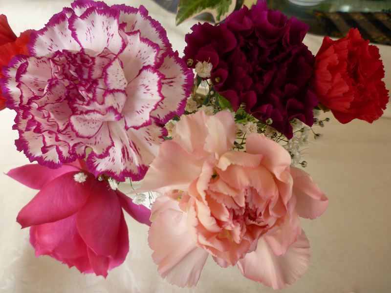 P1020083_R.jpg
