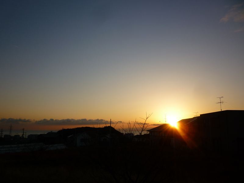 P1020087_R.jpg