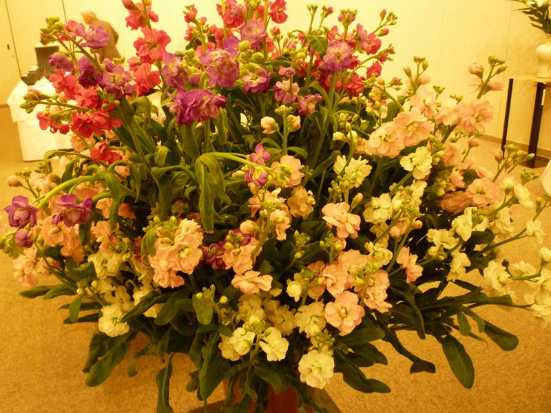 P1020150_R.jpg
