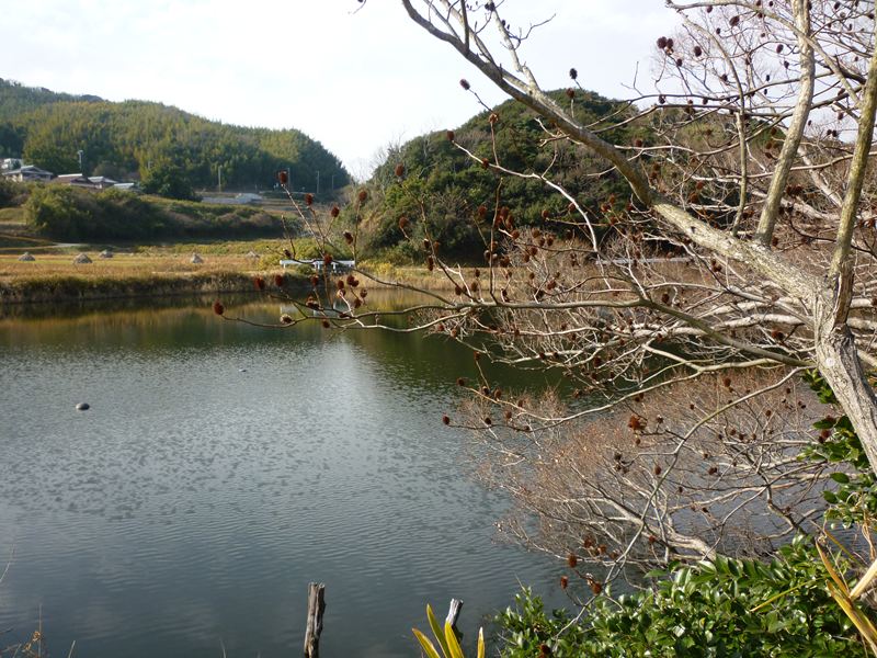 池