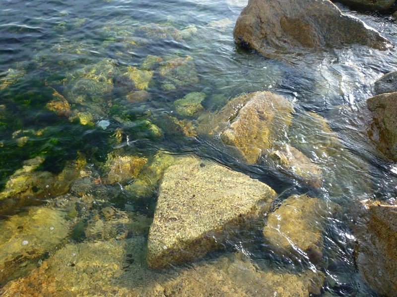 透きとおった海