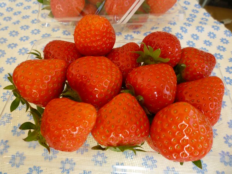 農園野イチゴ