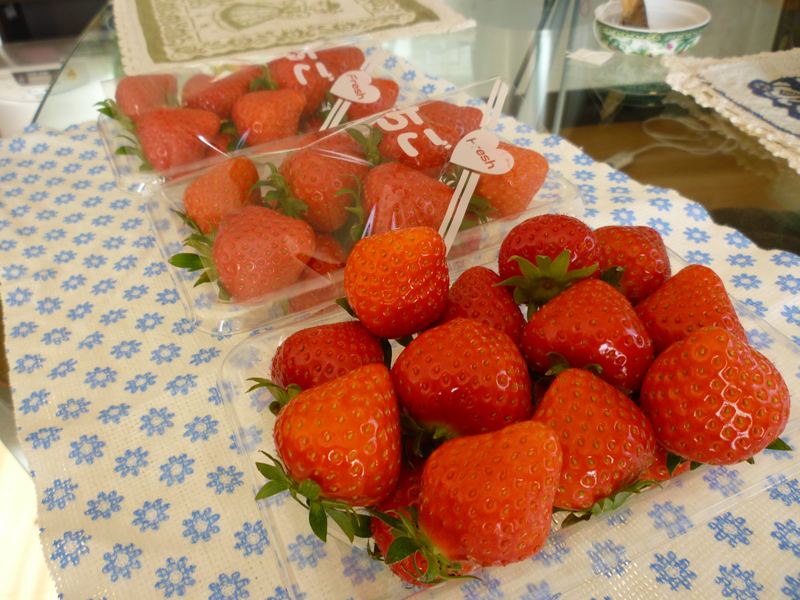 P1020356_R.jpg