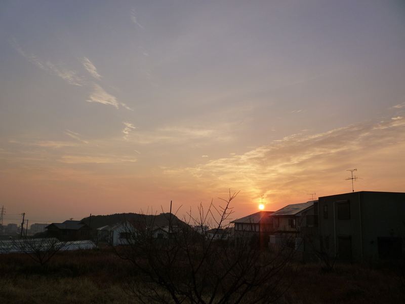 1月13日の朝日