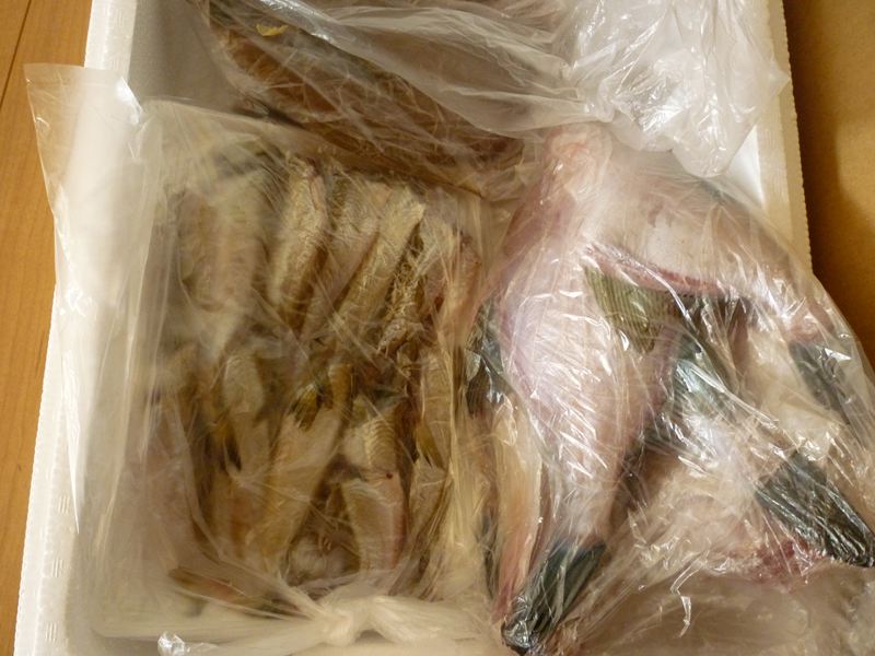 お魚も入っています。