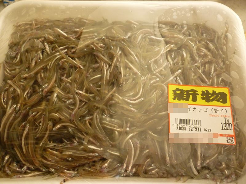 P1030157_R2.jpg