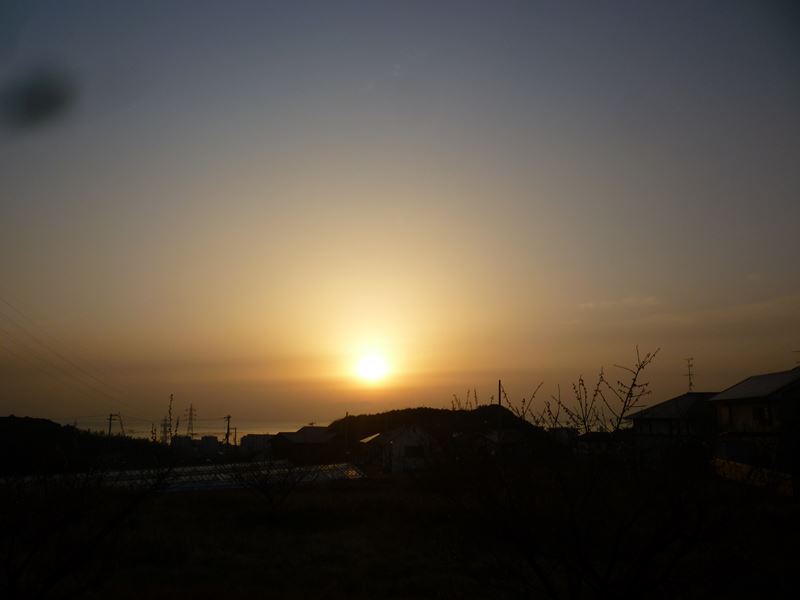 今朝の朝日