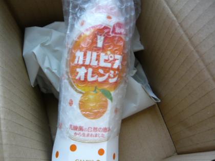 「カルピス」オレンジ