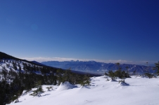 140211kyd008.jpg