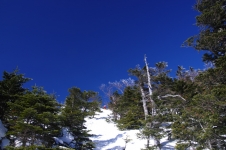 140211kyd014.jpg