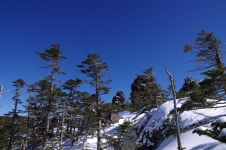 140211kyd032.jpg