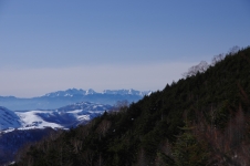 140211kyd048.jpg