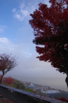 141102agd002.jpg