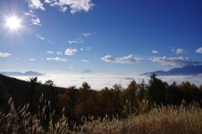 141102agd003.jpg