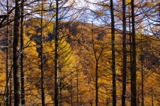 141102agd008.jpg