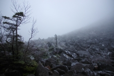 141102agd028.jpg
